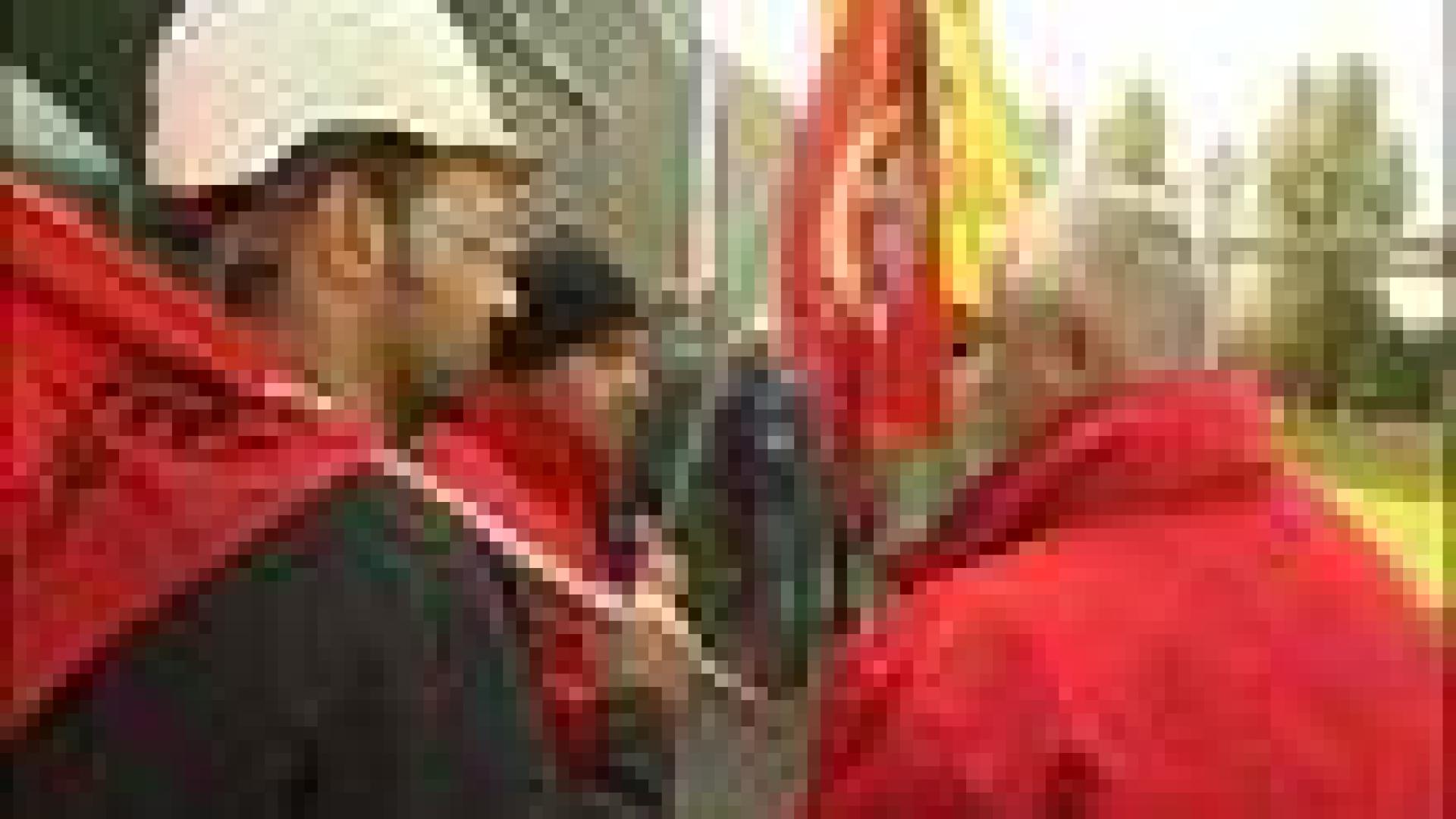Arcelor-Mittal: Les délégués syndicaux au Conseil d'Entreprise